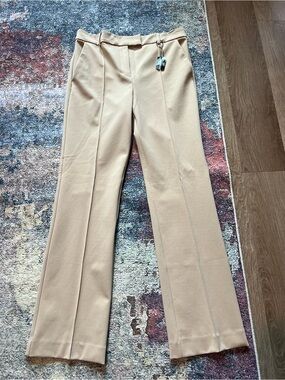 Women's Tailored Beige Dress Pants Express